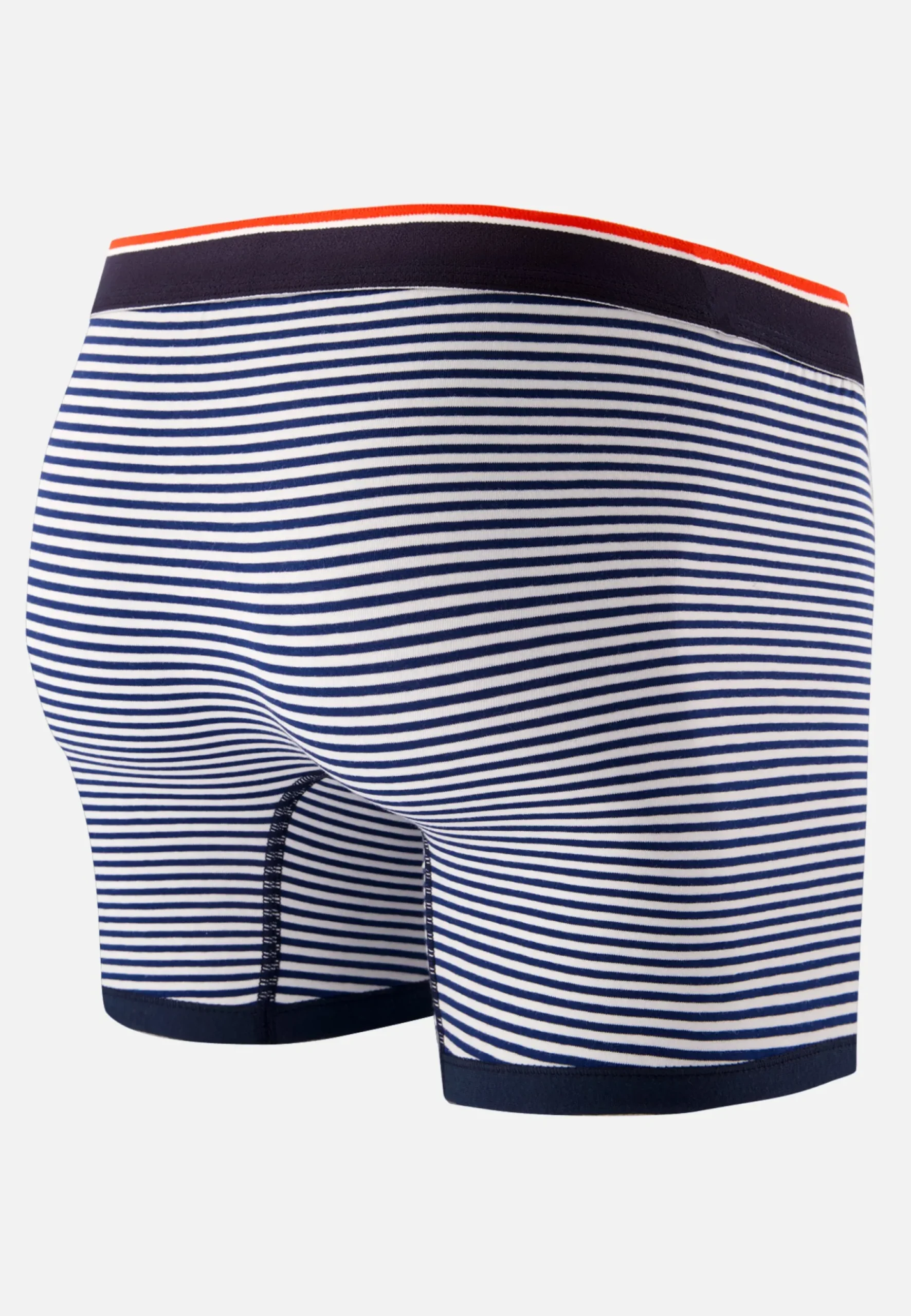 Le slip français Collaboration Armor Lux ⚓|Boxers<Boxer en coton LSF x Armor Lux-Le Petit Minou Raye Bleu