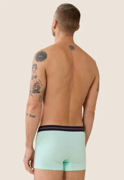 Le slip français Broderie 🪡|Boxers<Boxer en coton-Marius Baie Vert