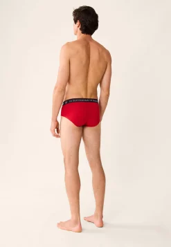 Le slip français Collection Cadeaux|Slips<Slip en coton-Intrepide Cerise Buche De Noel Rouge