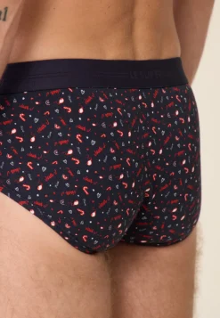 Le slip français Slips|Slips<Slip en coton-Terrible imprimé Jour J Bleu